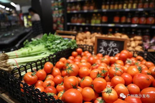 吃得放心 南沙菜篮子将携“身份证”上市食品销售