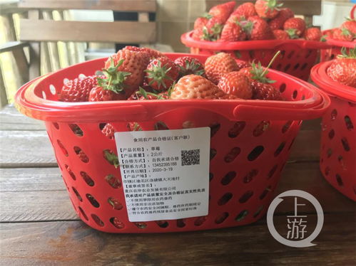 重庆试行食用农产品合格证制度 身份证式追溯，筑牢食品安全新防线